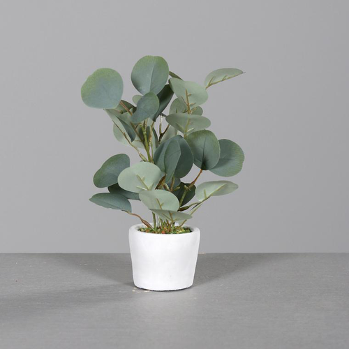 Visuel 1 du produit Eucalyptus vert artificiel en pot de grès gris - 68 cm