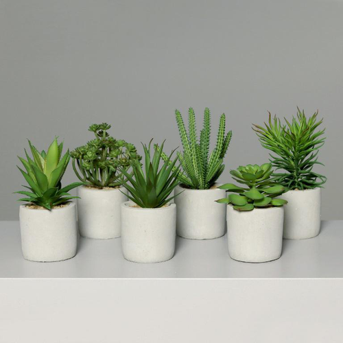 Visuel 1 du produit Succulente artificielle en pot béton - 14/20 cm