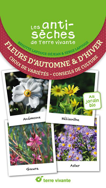 Visuel 1 du produit Livre "Les antisèches : fleurs d'Automne et d'hiver" Éditions Terre Vivante