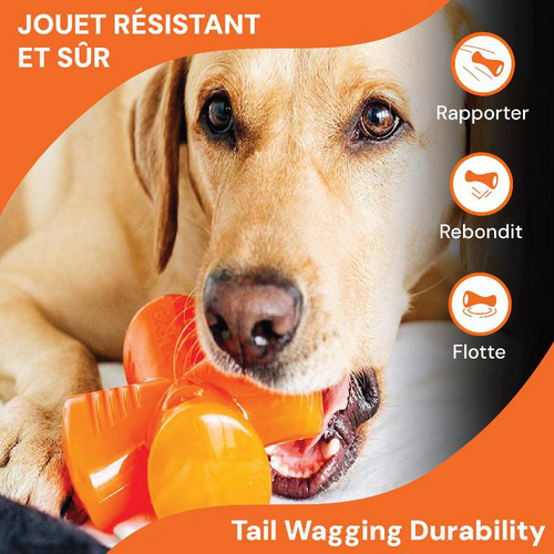Visuel 3 du produit Jouet pour chien en caoutchouc coloris orange croix Bionic Stuffer