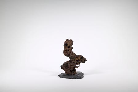 Visuel 1 du produit Décoration pour aquarium Aquadeco Congo Tree petit modèle - 20 cm