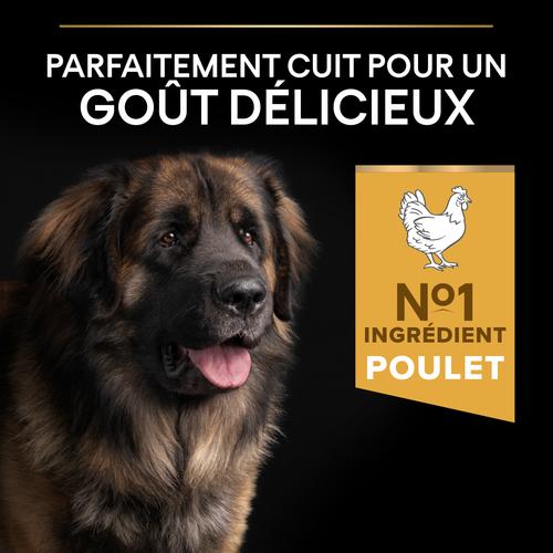 Visuel 4 du produit Croquettes pour chien Pro Plan Dog Large Adult Robust - 16,5 kg