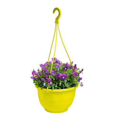 Visuel 1 du produit Viola Cornuta - La suspension de 18 cm