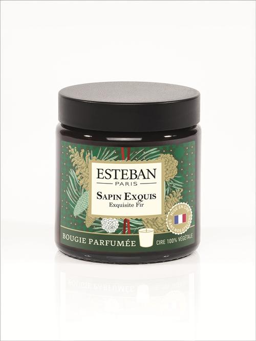 Visuel 1 du produit Bougie parfumée en cire végétale Sapin exquis Pommadier Estéban - 90 g