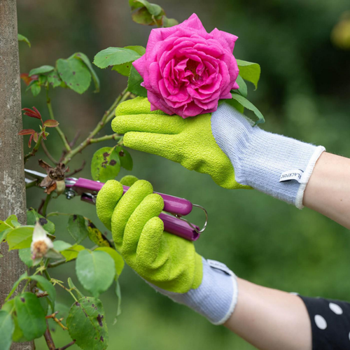 Visuel 3 du produit Gants spécial rosier coloris Vert Anis Taille 7