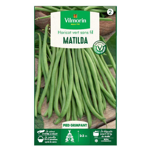 Visuel 1 du produit Graines de Haricot vert grimpant Matilda Vilmorin - graines à semer