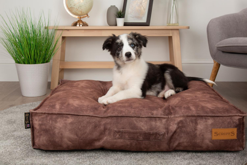 Visuel 7 du produit Coussin pour chien marron Kensington – Taille M