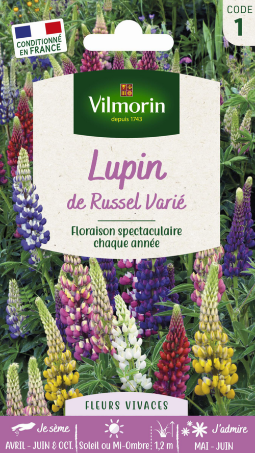 Visuel 1 du produit Lupin de Russel Varié Vilmorin - graines à semer