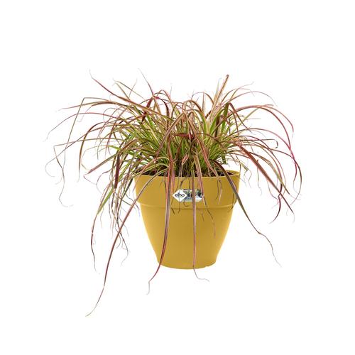 Visuel 2 du produit Pot rond en plastique recyclé coloris jaune miel Elho Vibia Campana - Ø 40 x H 33,4 cm