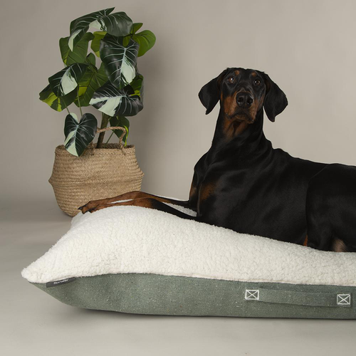 Visuel 4 du produit Couchage pour chien coloris vert coussin Scruffs Eco Eden - Taille L 100 x 70 cm