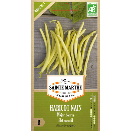 Visuel 1 du produit Sachet de graines de haricot major