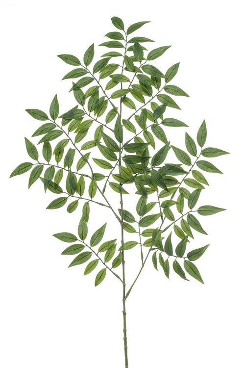 Visuel 1 du produit Tige de Ruscus artificiel vert - Ø 38 x H 95 cm