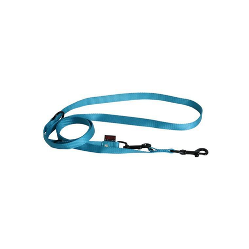 Visuel 1 du produit Laisse dressage 3pt Turquoise