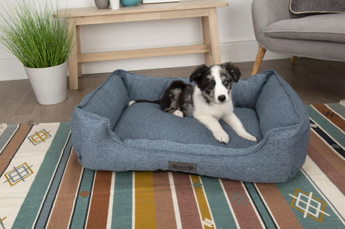 Visuel 4 du produit Corbeille pour chien bleu Manhattan Scruffs – Taille XL