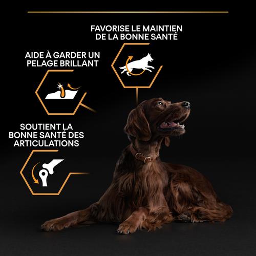 Visuel 8 du produit Croquettes pour chien adulte Large athletic Pro Plan - 14 kg + 2,5 kg