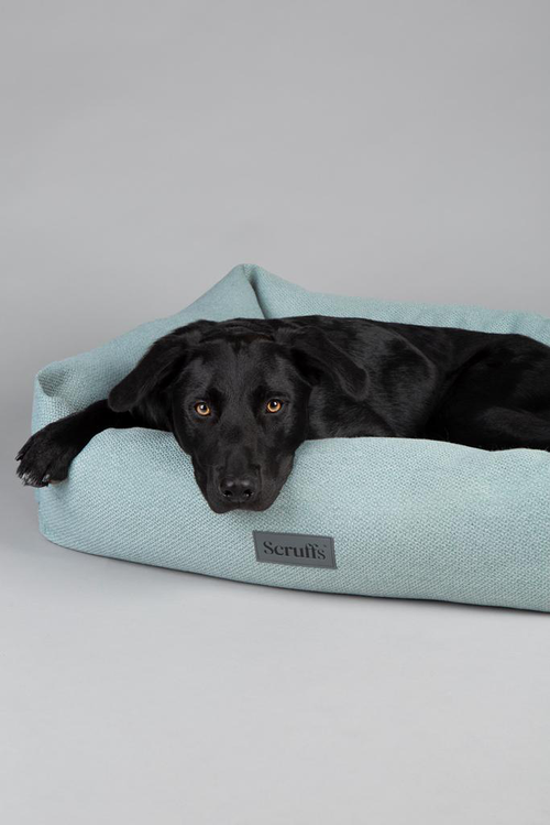 Visuel 4 du produit Couchage pour chien coloris vert corbeille Scruffs Ellen - Taille M 60 x 50 x 16 cm