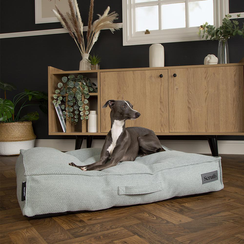 Visuel 5 du produit Couchage pour chien coloris vert coussin Scruffs Seattle - Taille L 100 x 70 x 14 cm