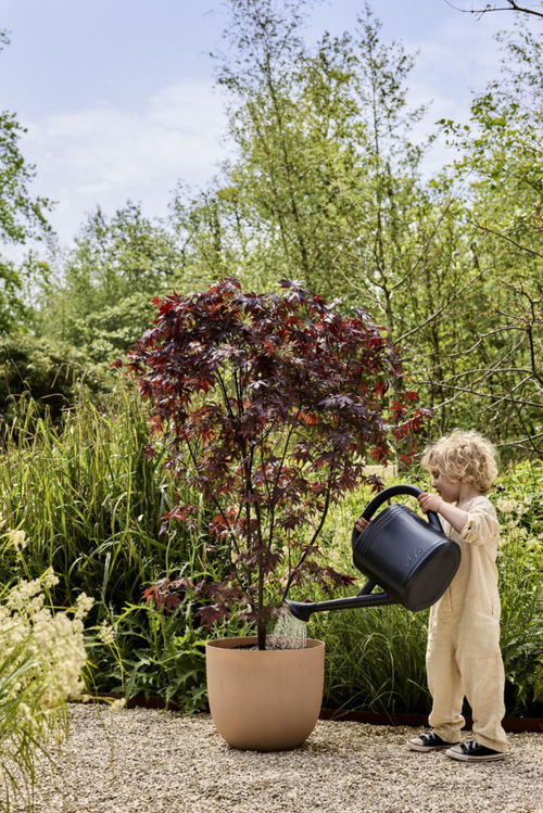 Visuel 3 du produit Pot en polypropylène argile froide Elho Sereh Round - Ø 39 x 33,3 cm