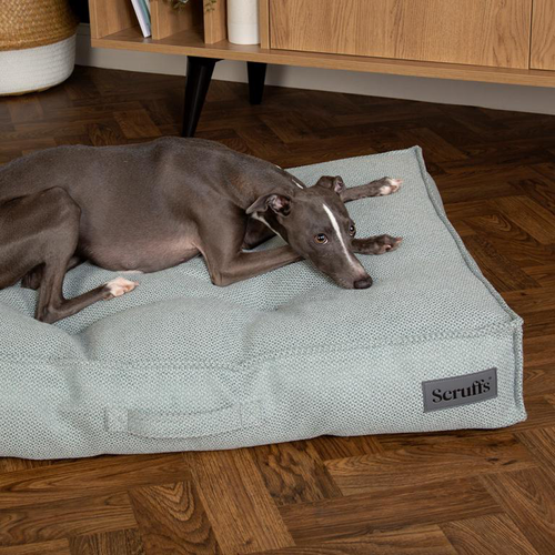 Visuel 4 du produit Couchage pour chien coloris vert coussin Scruffs Seattle - Taille L 100 x 70 x 14 cm