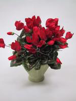 Visuel 2 du produit Cyclamen à grandes fleurs - Le pot diam 12 cm