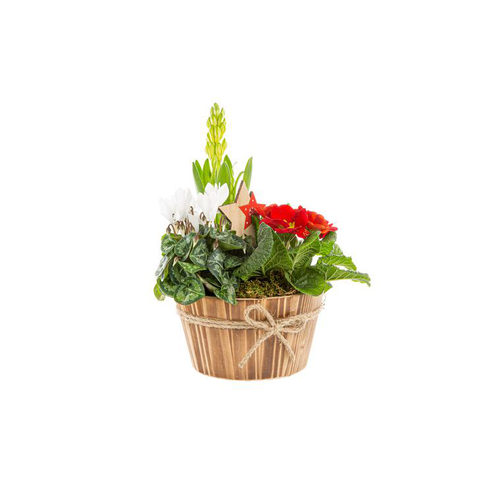 Visuel 1 du produit Composition hivernale dans une coupe en bois