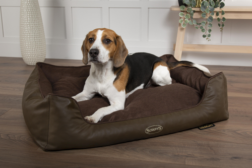 Visuel 2 du produit Corbeille à mémoire de forme pour chien marron Hilton Scruffs – Taille M