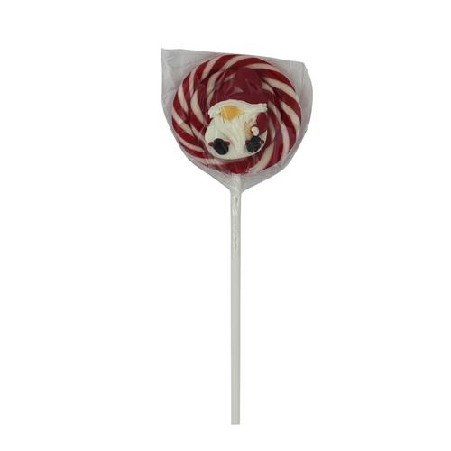 Visuel 3 du produit Sucette avec un décor de Noël Apipis - 60 g