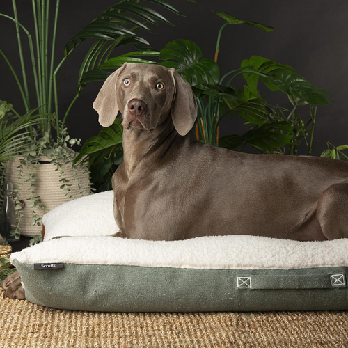 Visuel 3 du produit Couchage pour chien coloris vert coussin Scruffs Eco Eden - Taille XL 120 x 75 cm