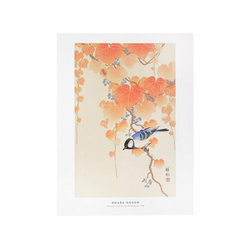 Visuel 1 du produit Affiche mésange sur une branche - 30 x 40 cm