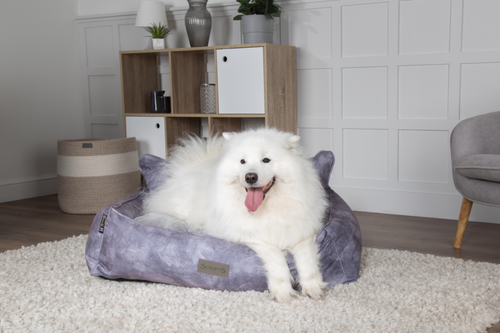 Visuel 6 du produit Corbeille pour chien gris Kensington Scruffs – Taille M