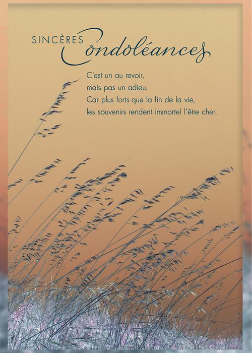 Visuel 1 du produit Carte double Sincères condoléances aux Éditions Pictura