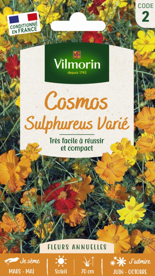 Visuel 1 du produit Cosmos Sulphureus Varié Vilmorin - graines à semer