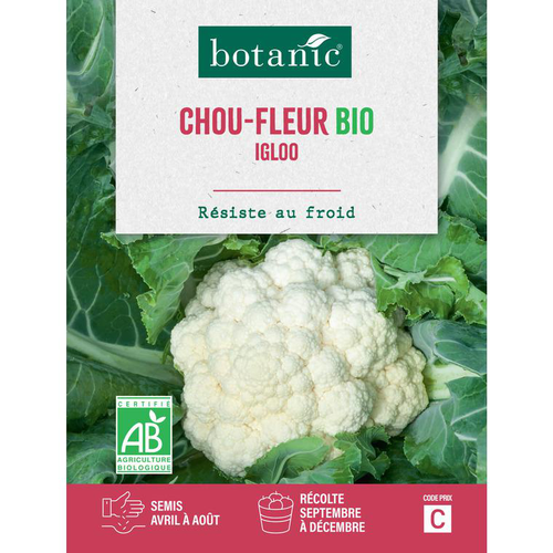 Visuel 1 du produit Graines de Chou-fleur igloo bio botanic® - graines à semer