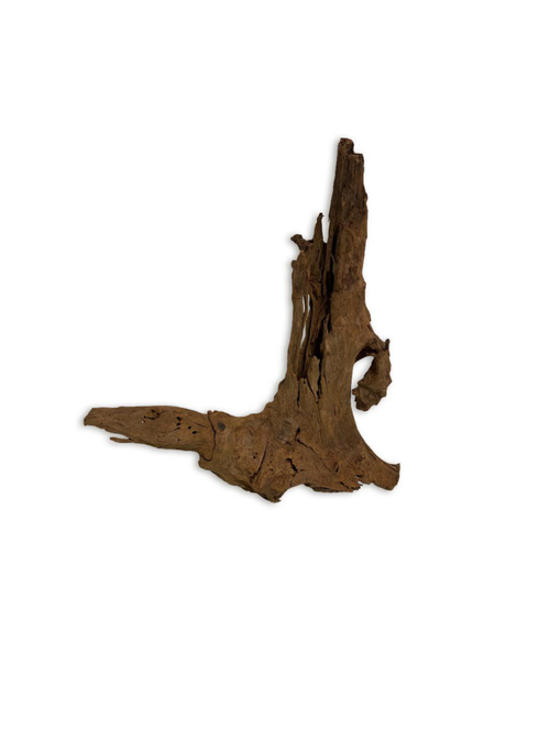 Visuel 1 du produit Décor pour aquarium coloris marron racine Malaisie Aquavie - Taille S