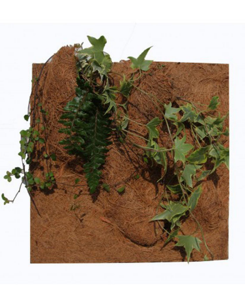 Visuel 2 du produit Décor de fond pour terrarium fibre de coco coloris marron Reptile Planet Planting Background - 50 x 50 x 10 cm