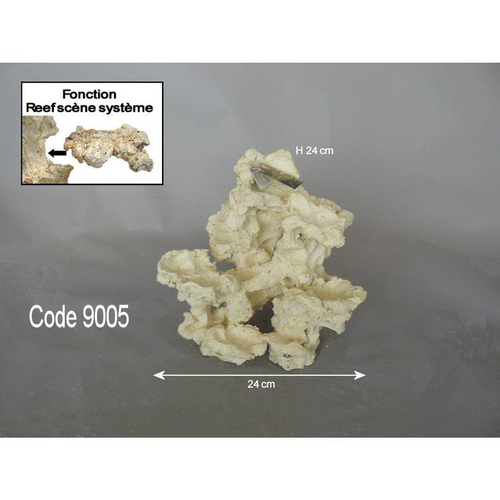 Visuel 1 du produit Roche Eau de mer LV neutre Moyenne Corallienne 3,5 kg