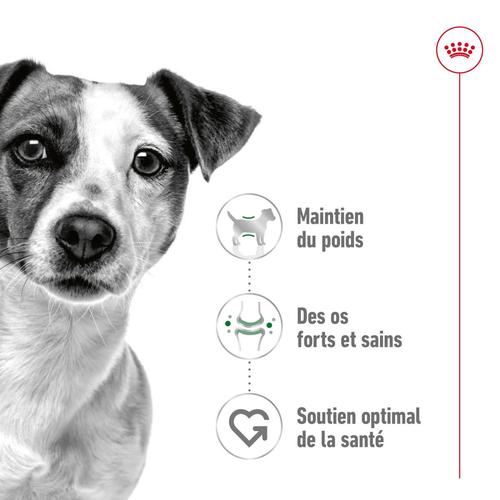Visuel 3 du produit Croquette pour chien adulte de petite taille Royal Canin - 4 kg