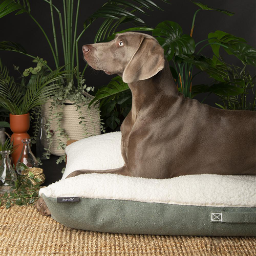 Visuel 4 du produit Couchage pour chien coloris vert coussin Scruffs Eco Eden - Taille XL 120 x 75 cm