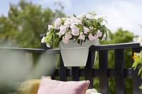 Visuel 7 du produit Balconnière blanc soie Elho Vibia Campana Flower Bridge - 26 x 39 x 22