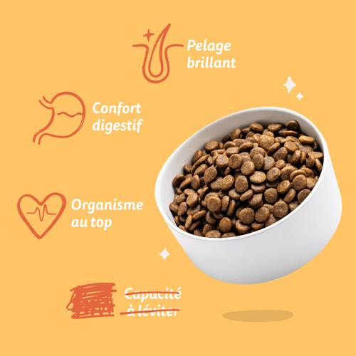Visuel 7 du produit Croquettes pour chien adulte au poulet sans céréales Edgard & Cooper - 7 kg