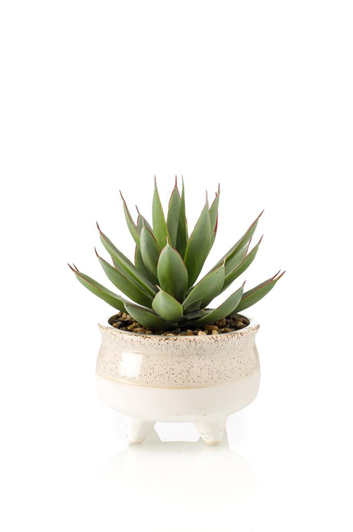 Visuel 1 du produit Echeveria artificielle vert et rouge en pot décoratif - Ø 17 x H 20 cm