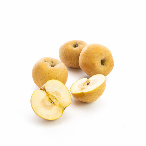 Visuel 1 du produit Pomme Canada Grise bio de France - Prix au kg