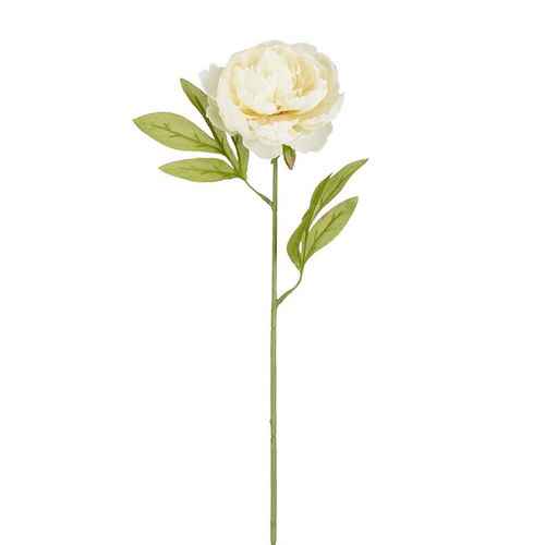 Visuel 1 du produit Tige de pivoine artificielle en plastique recyclé crème - 67 cm