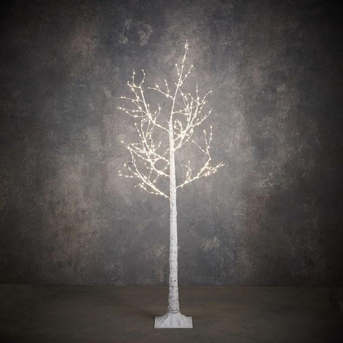 Visuel 1 du produit Bouleau lumineux à lumière blanc fixe sur secteur - 150 x 80 cm