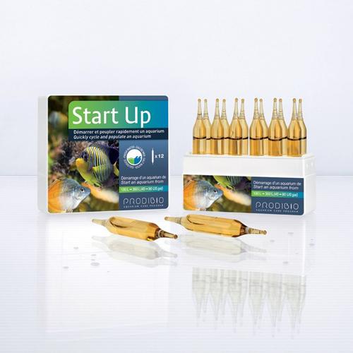 Visuel 2 du produit Boîte d'ampoules Prodibio Start'Up - x 12