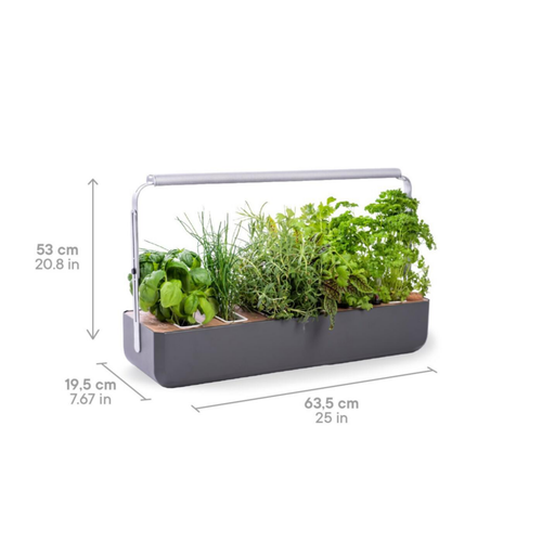 Visuel 3 du produit Potager coloris graphite Gourmet Indoor Véritable avec 6 lingots fournis - 1 étage