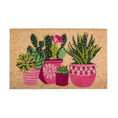 Visuel 1 du produit Tapis brosse coco imprimé cactus vert/rose Sweetsol - 75 x 45 cm