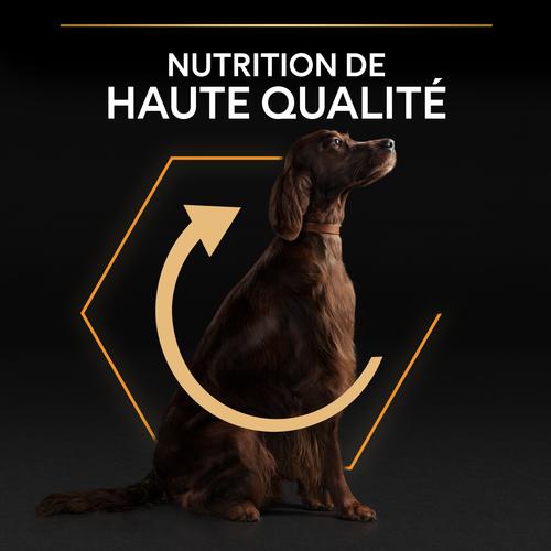 Visuel 9 du produit Croquettes pour chien adulte Large athletic Pro Plan - 14 kg + 2,5 kg