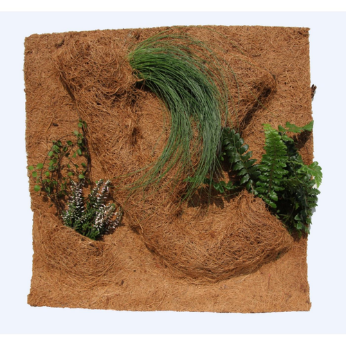 Visuel 2 du produit Décor de fond pour terrarium fibre de coco coloris marron Reptile Planet Planting Background - 40 x 40 x 10 cm