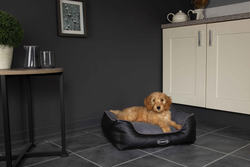Visuel 7 du produit Corbeille à mémoire de forme pour chien gris Hilton Scruffs – Taille S